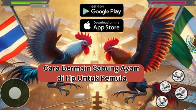 sabung ayam - bumbumsport.com